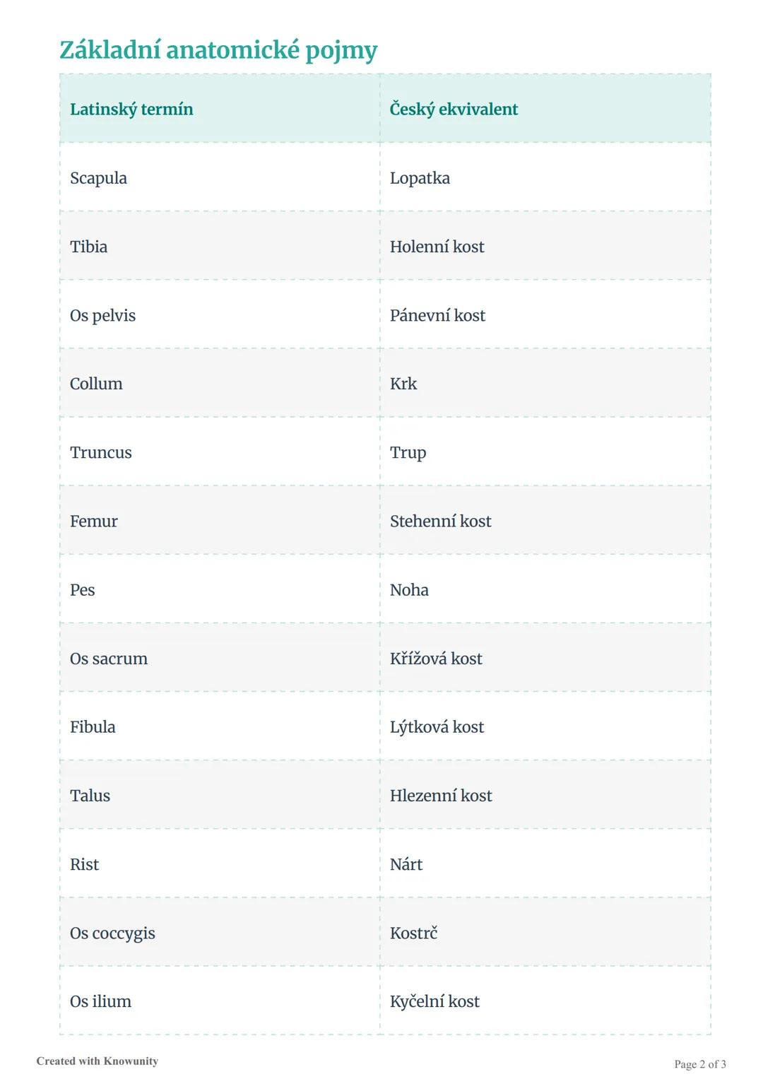 Anatomická terminologie
základní slovníček
Přehled základních anatomických pojmů v latině a jejich české ekvivalenty pro studium
anatomie.
A