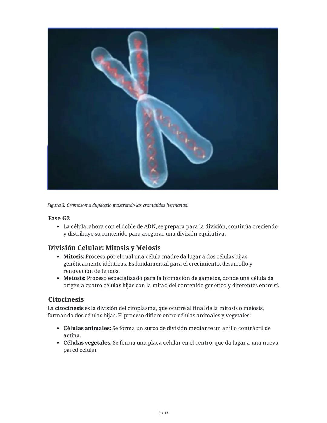 CICLO CELULAR
El ciclo celular es el proceso mediante el cual una célula crece, replica su ADN y se divide
para formar células hijas. La dur
