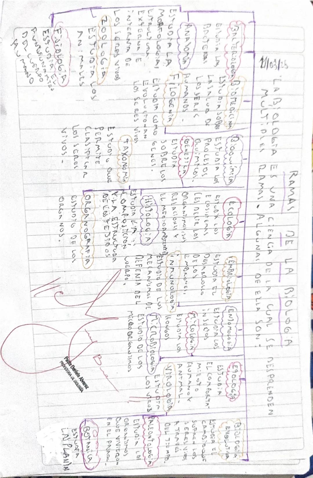 21/03/25

RAMAS DE LA BIOLOGA
"LA BIOLOGIA ES UNA CIENCIA DE LA CUAL SE DESPRENDEN
MULTIPLES RAMAL. ALGUNAL DE ELLA SONT
1
BACTERIOLOGA BIOM