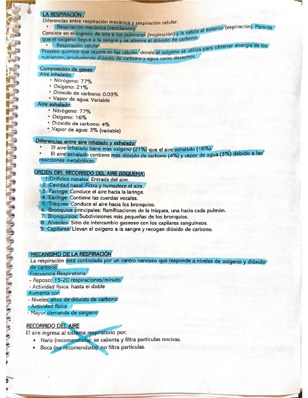 Resumen biología Respiración , sistema urinario y expresión 