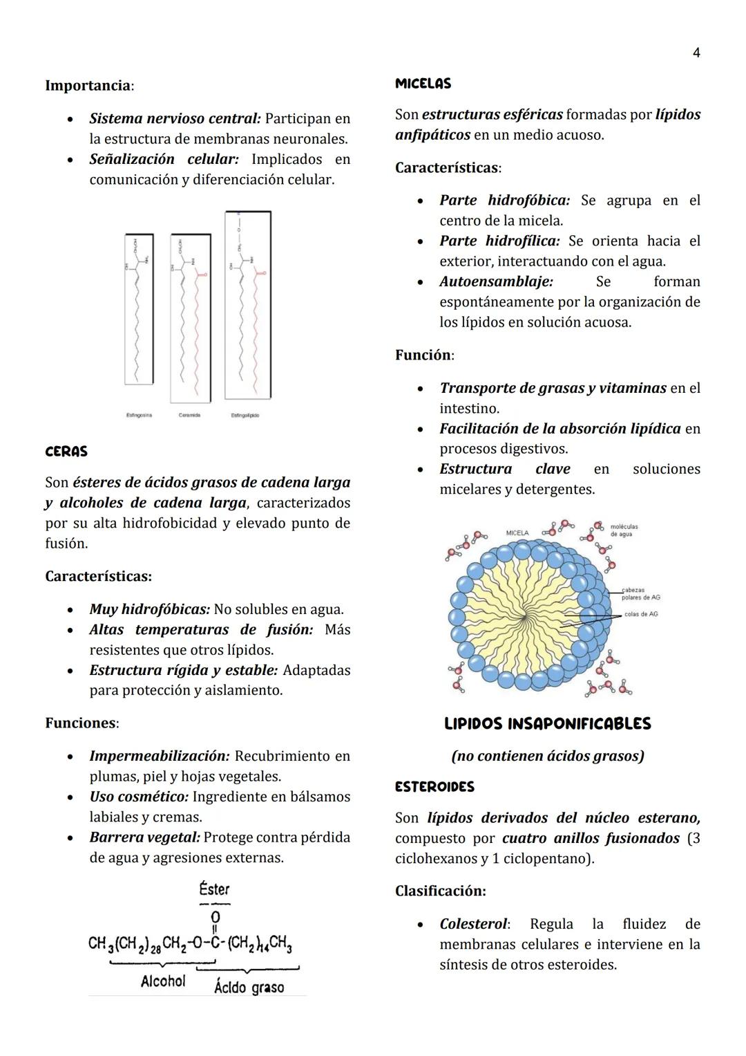 1
Unidad 4
LIPIDOS
Definición general:
• Moléculas orgánicas insolubles en agua
y solubles en solventes apolares.
• Su característica princi