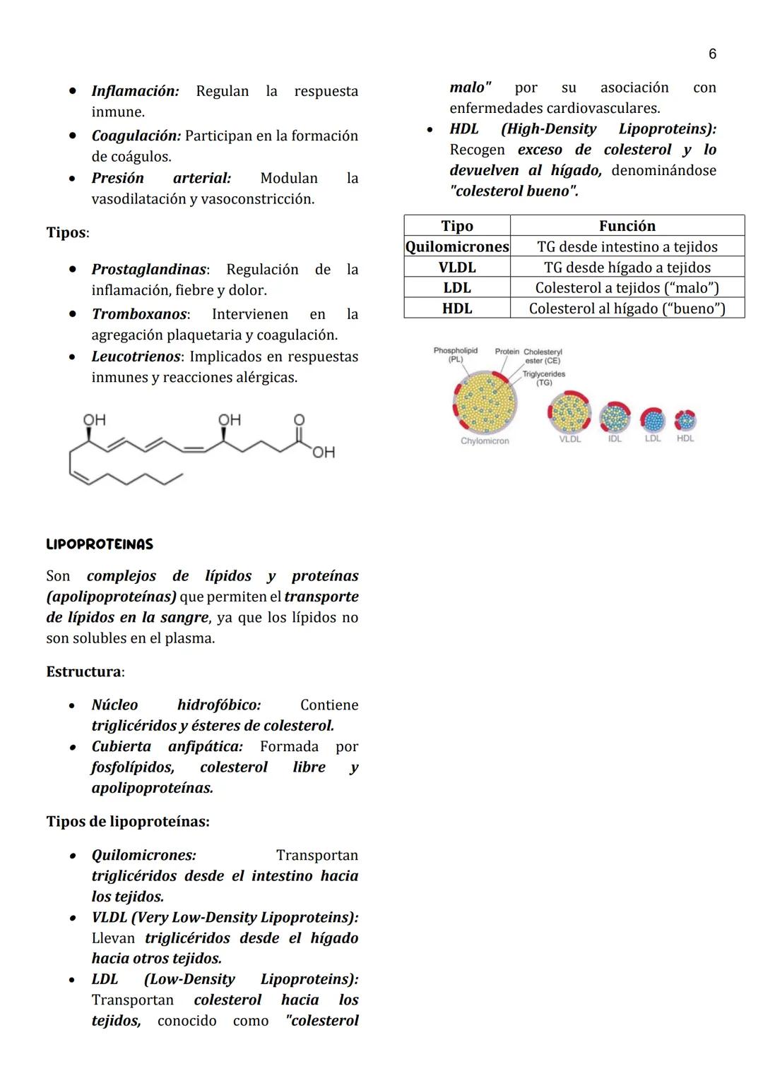 1
Unidad 4
LIPIDOS
Definición general:
• Moléculas orgánicas insolubles en agua
y solubles en solventes apolares.
• Su característica princi