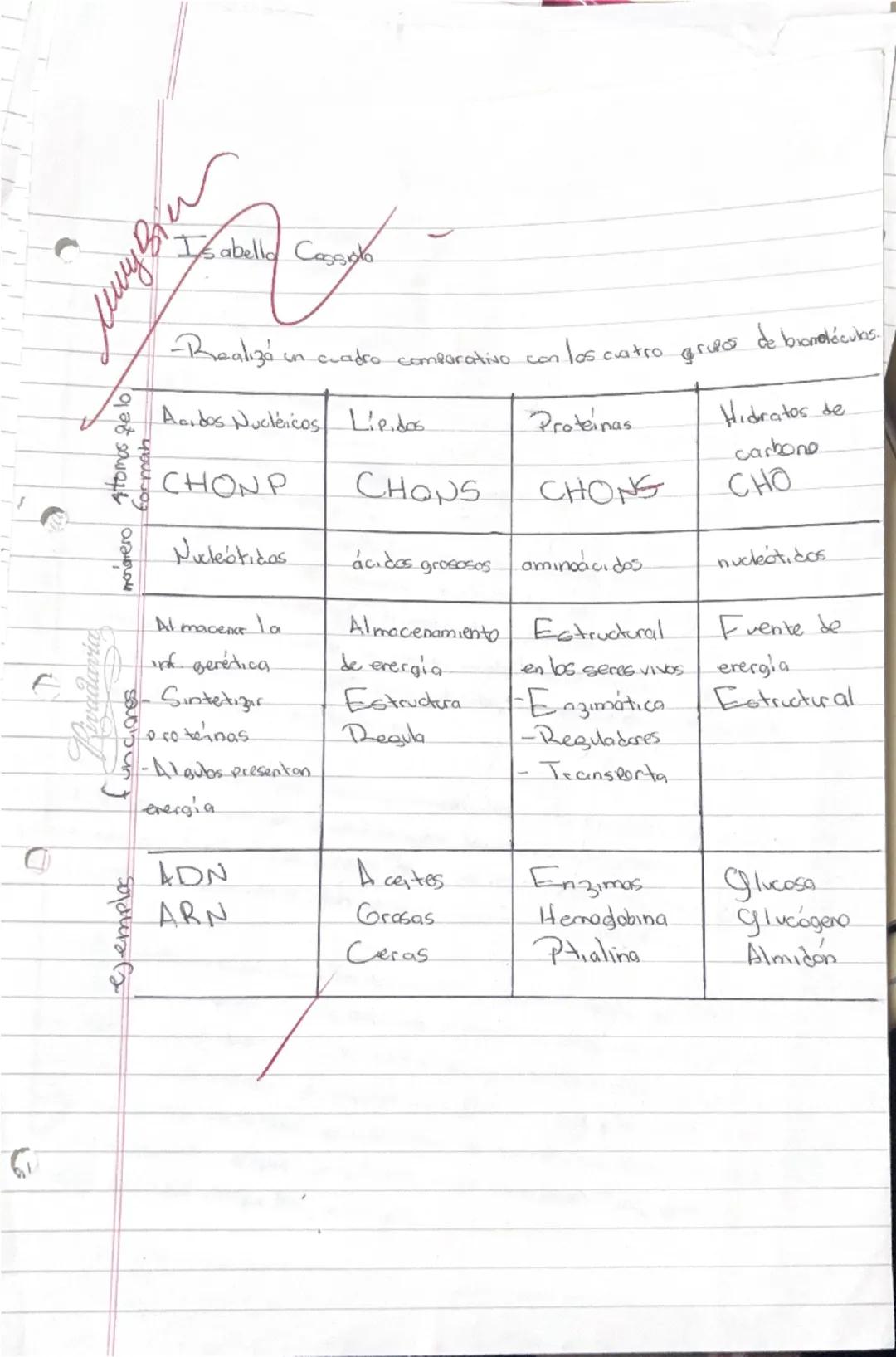 --- OCR Start ---
C
C
Kivadavia
Biobaja
(07/04)
Riboparmas: Moléculas de ARN, encargado de la sintesis deproteinas.
Azucar cuerpo
Pchosa
5c
