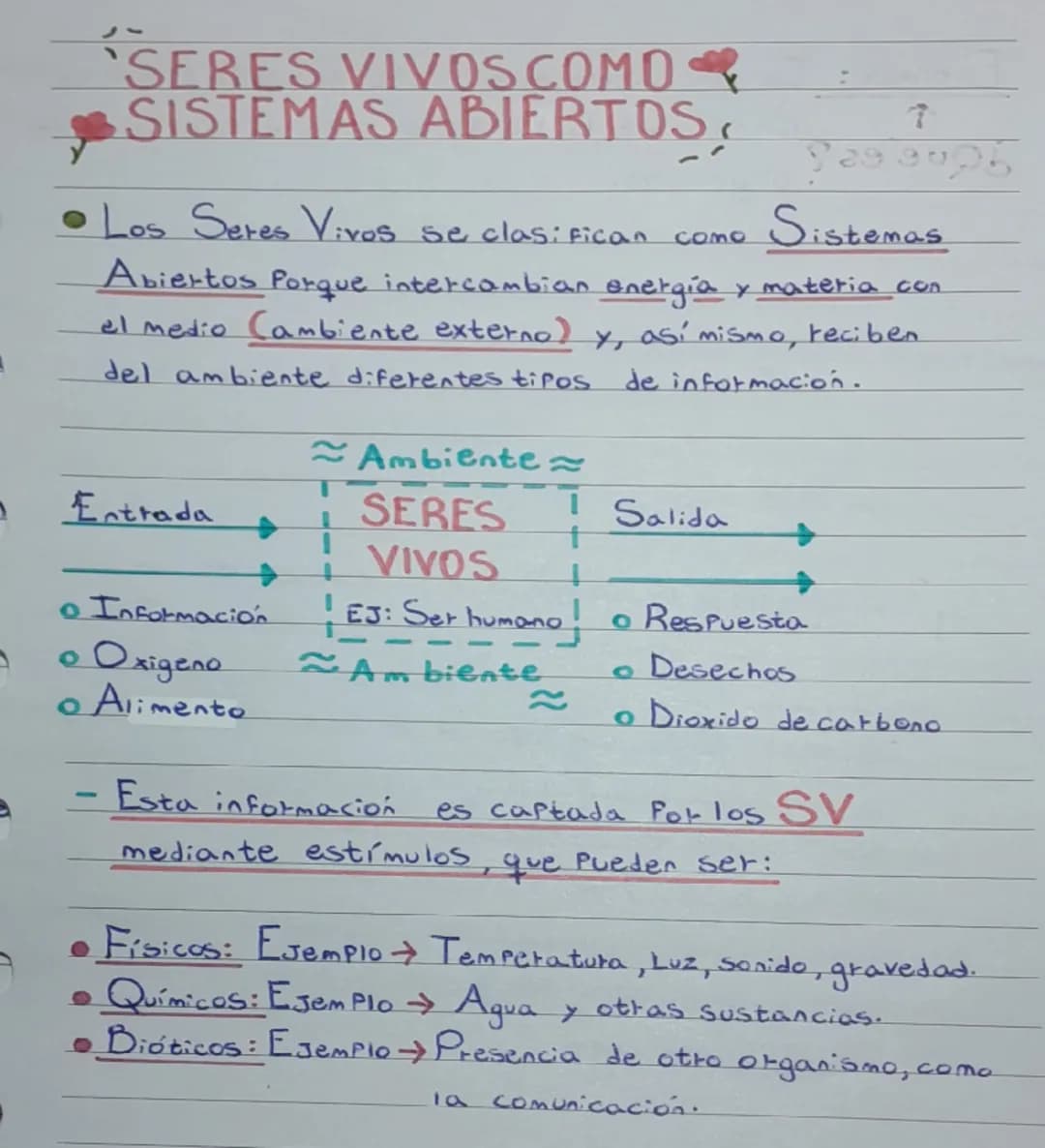 Seres vivos como sistemas abiertos