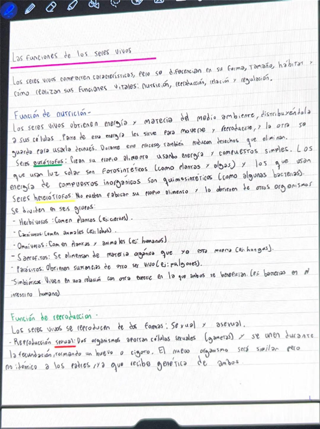 Las funciones de los seres vivos