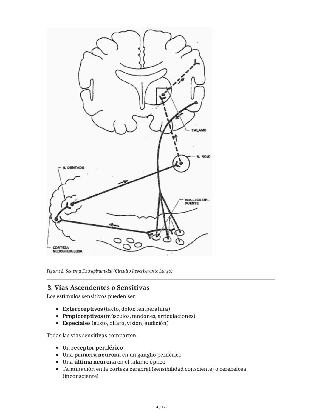 Vías de Conducción en el Sistema Nervioso
1. Generalidades
El individuo interactúa con su entorno a través de estímulos que pueden ser:
•	Ex