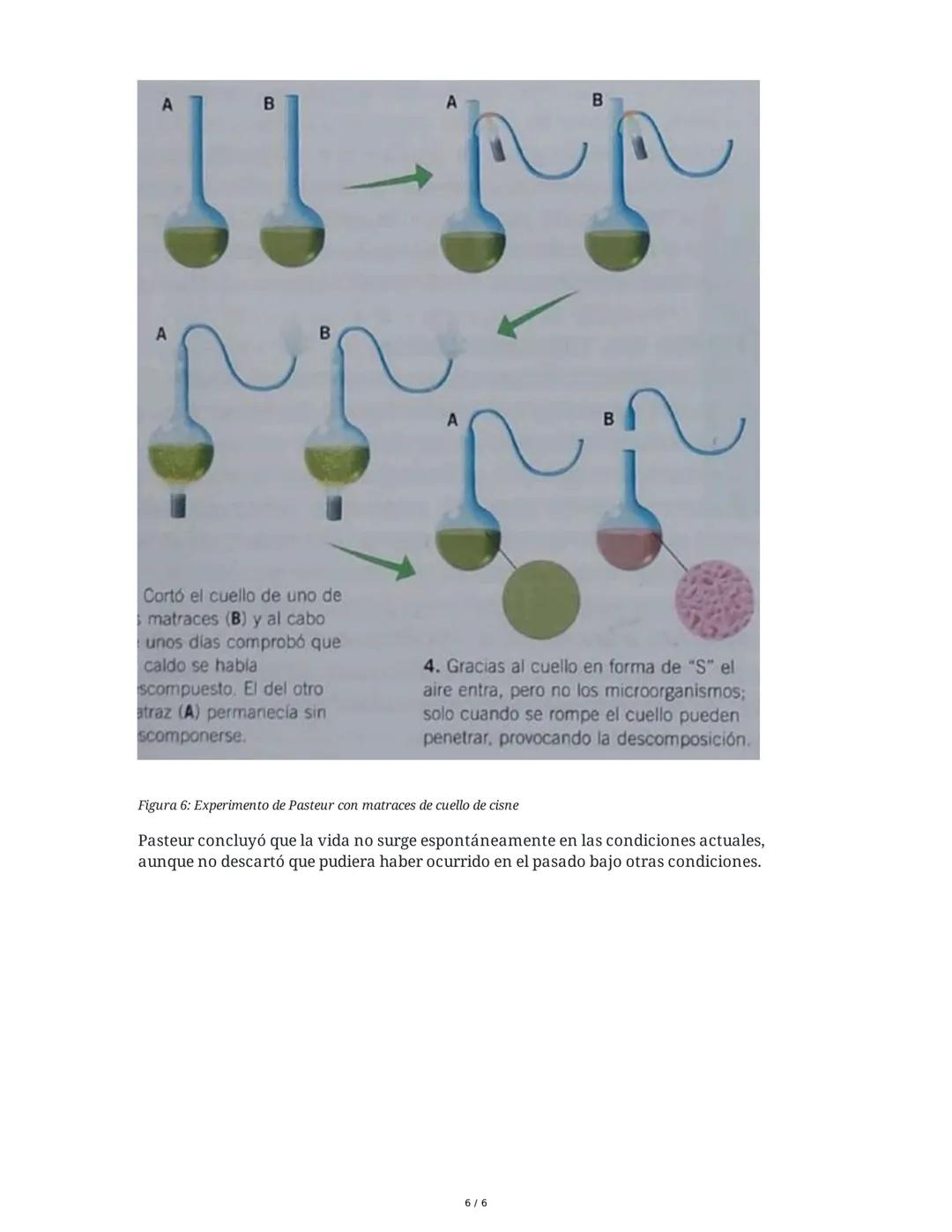 Teoría de Oparin y Experimento de Miller-Urey
1. Conceptos Fundamentales
Antes de abordar la teoría de Oparin sobre el origen de la vida, es