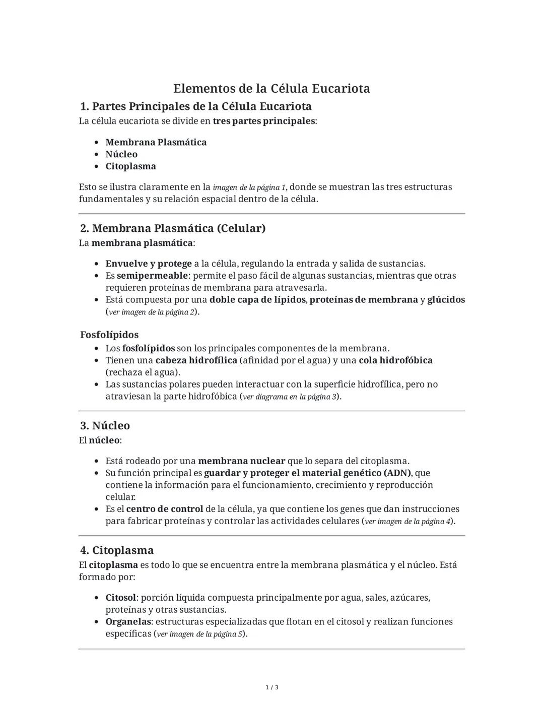 Elementos de la Célula Eucariota
1. Partes Principales de la Célula Eucariota
La célula eucariota se divide en tres partes principales:
- Me
