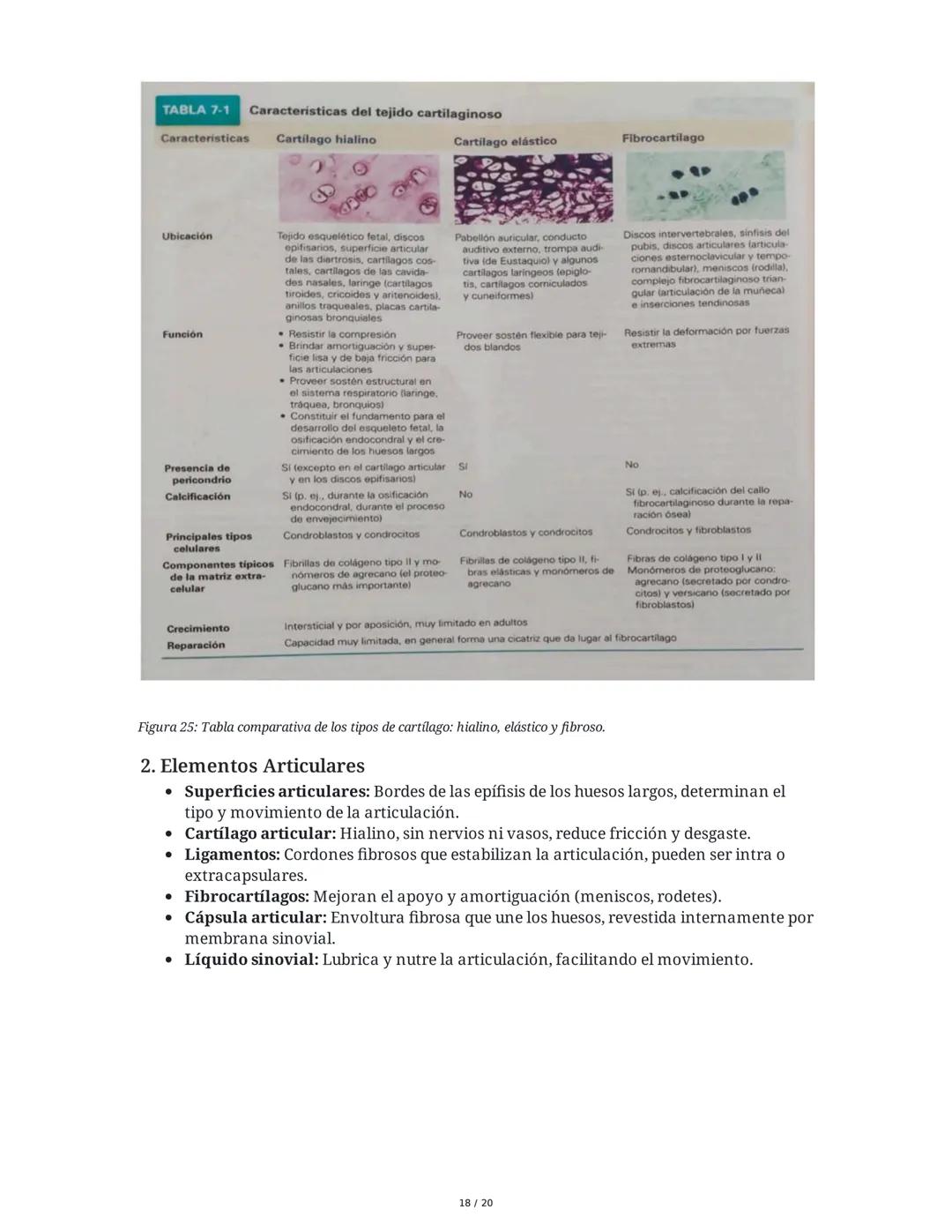 # Sistema Osteoartromuscular (SOAM)

El Sistema Osteoartromuscular (SOAM) está compuesto por la unión de huesos, articulaciones, ligamentos 