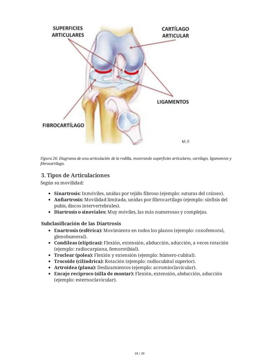 # Sistema Osteoartromuscular (SOAM)

El Sistema Osteoartromuscular (SOAM) está compuesto por la unión de huesos, articulaciones, ligamentos 