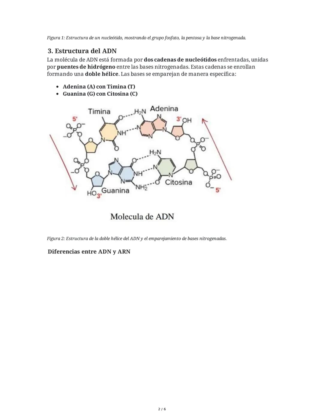 # Genética: Descubrimiento y Estructura del ADN

## 1. Descubrimiento del ADN

El ADN (ácido desoxirribonucleico) fue observado por primera 