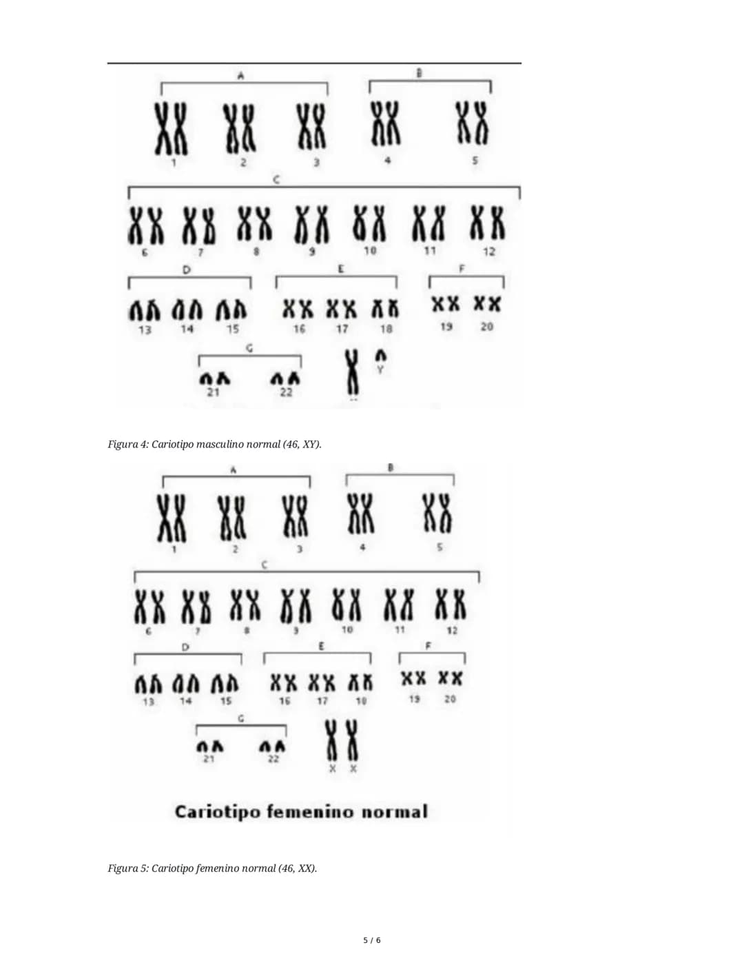 # Genética: Descubrimiento y Estructura del ADN

## 1. Descubrimiento del ADN

El ADN (ácido desoxirribonucleico) fue observado por primera 