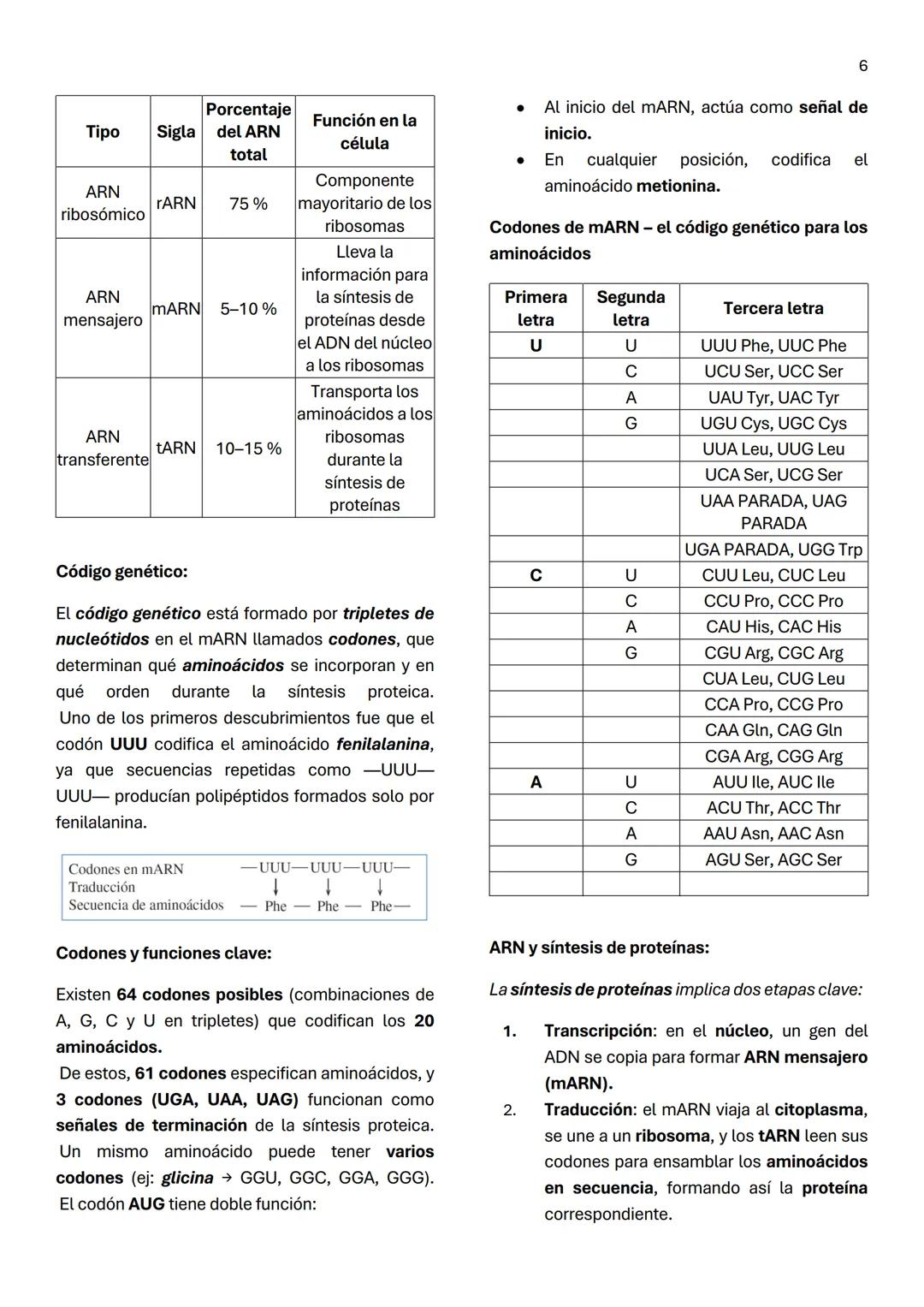 1
Unidad 6
ACIDOS NUCLEICOS
¿Qué son los ácidos nucleicos?
Son macromoléculas lineales formadas por la
repetición de nucleótidos, cuya funci