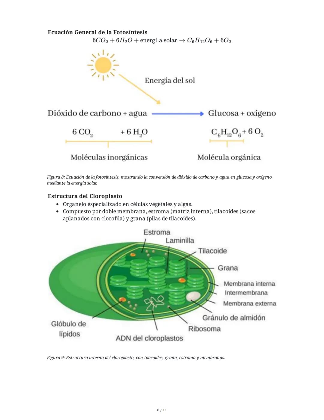 Resumen de Respiración Celular, Fermentación y Fotosíntesis
1. Respiración Celular
La respiración celular es el proceso catabólico fundament