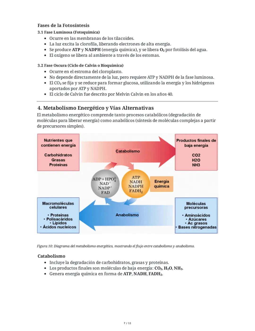 Resumen de Respiración Celular, Fermentación y Fotosíntesis
1. Respiración Celular
La respiración celular es el proceso catabólico fundament