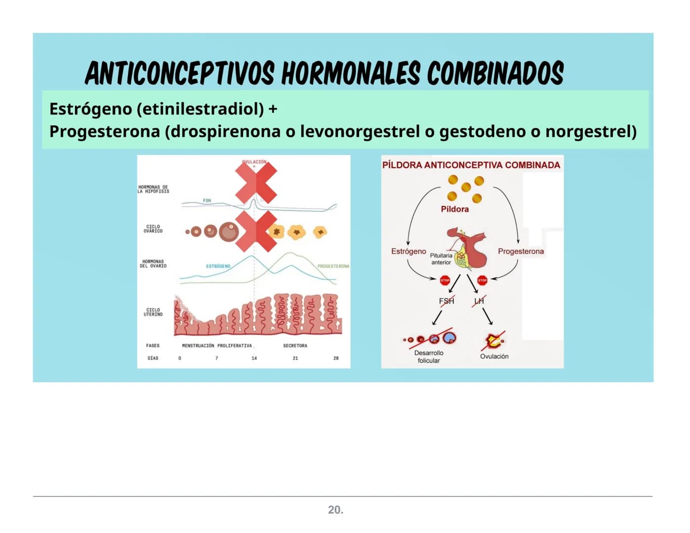 NATURALES
Abstinencia
Periódica
Billings
ME.L.A
(Método de
Lactancia
Amenorrea
MÉTODOS
ANTICONCEPTIVOS
Coitus Interruptus
(Coito Interrumpid