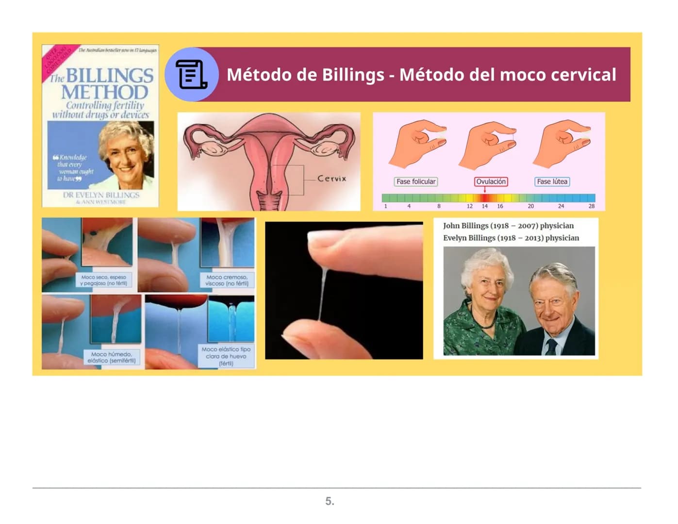 NATURALES
Abstinencia
Periódica
Billings
ME.L.A
(Método de
Lactancia
Amenorrea
MÉTODOS
ANTICONCEPTIVOS
Coitus Interruptus
(Coito Interrumpid