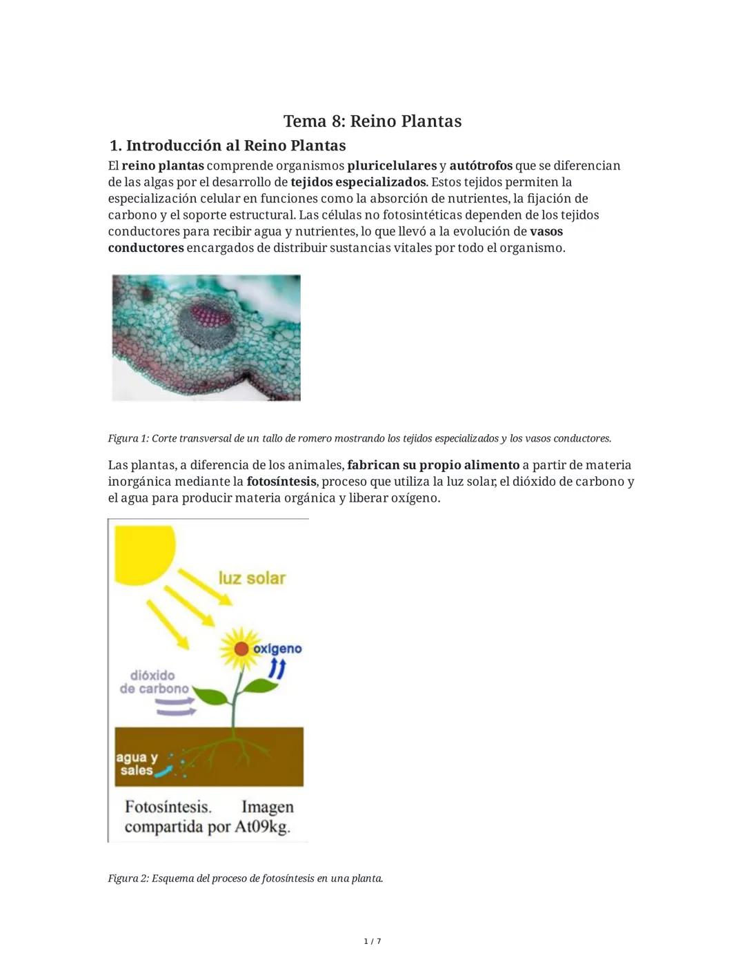 Introducción al Reino Plantas