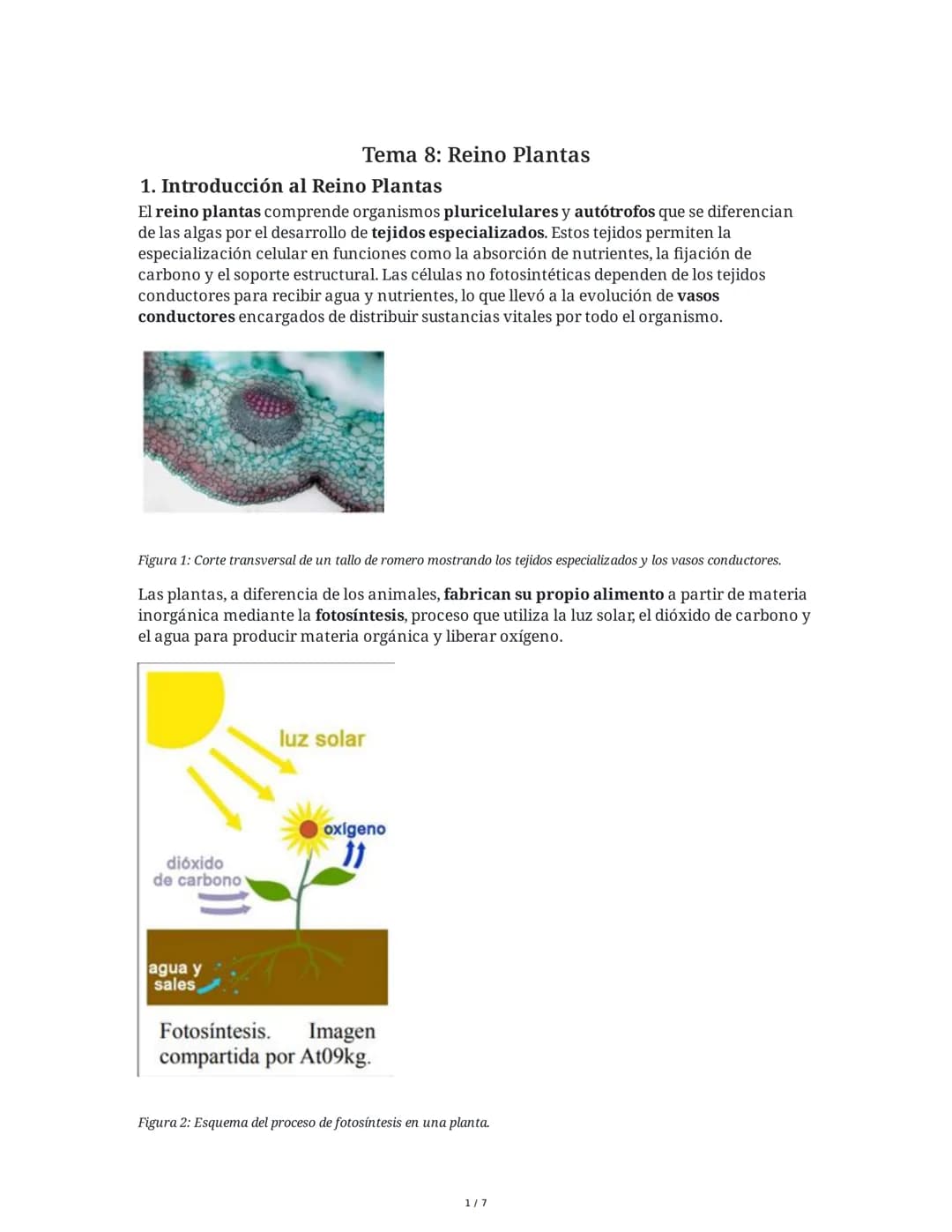 Tema 8: Reino Plantas
1. Introducción al Reino Plantas
El reino plantas comprende organismos pluricelulares y autótrofos que se diferencian

