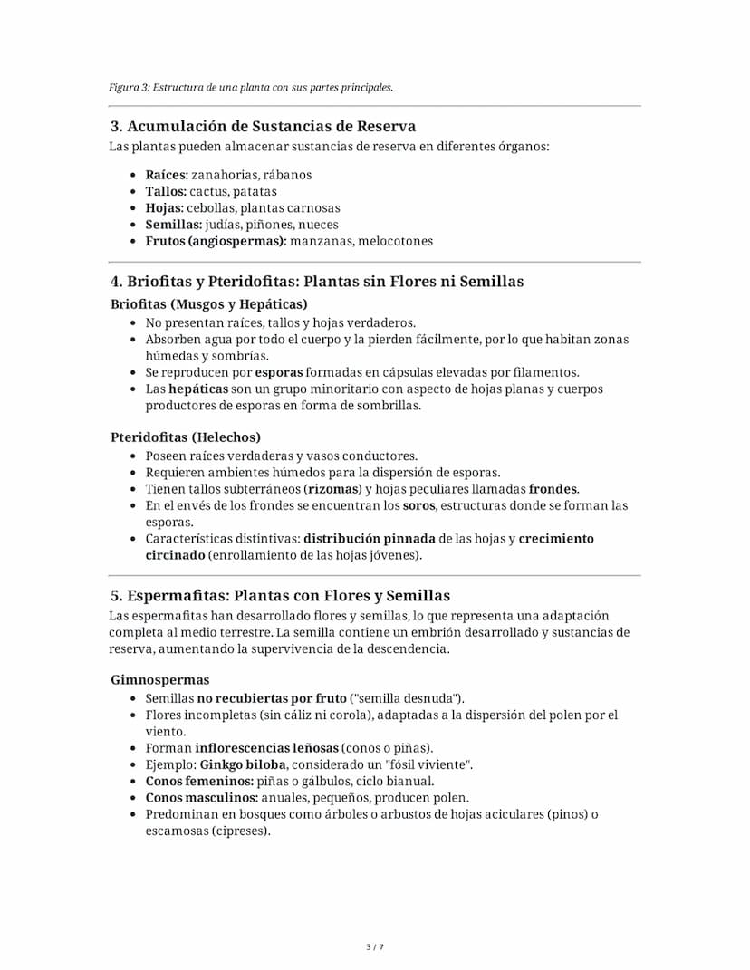 Tema 8: Reino Plantas
1. Introducción al Reino Plantas
El reino plantas comprende organismos pluricelulares y autótrofos que se diferencian
