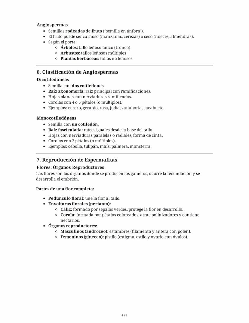 Tema 8: Reino Plantas
1. Introducción al Reino Plantas
El reino plantas comprende organismos pluricelulares y autótrofos que se diferencian
