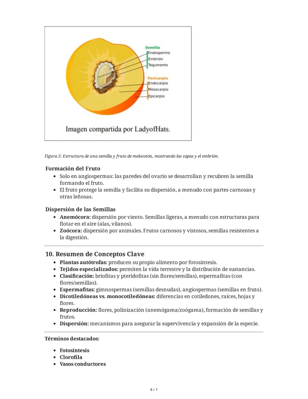 Tema 8: Reino Plantas
1. Introducción al Reino Plantas
El reino plantas comprende organismos pluricelulares y autótrofos que se diferencian

