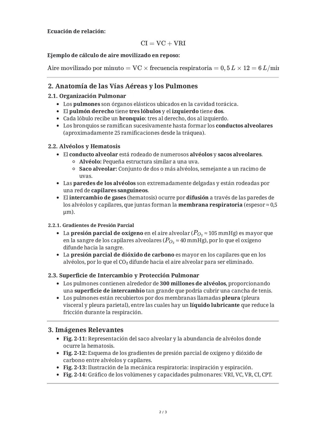 El Intercambio Gaseoso y la Anatomía Pulmonar
1. El Intercambio Gaseoso en el Organismo
El intercambio gaseoso en el cuerpo humano se divide
