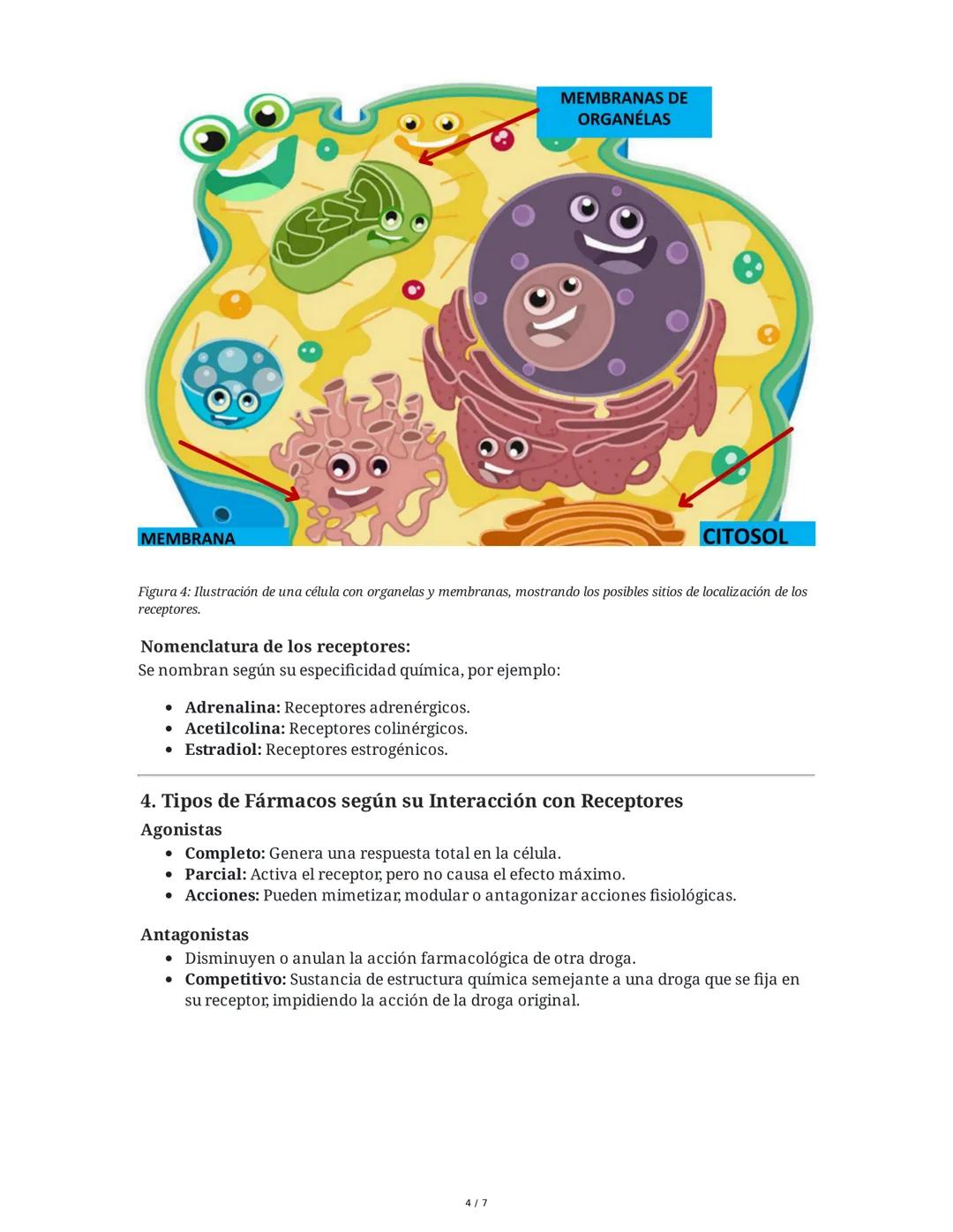 FARMACODINAMIA
1. Definición y Alcance de la Farmacodinamia
La farmacodinamia es el estudio de los mecanismos de acción de los fármacos en e