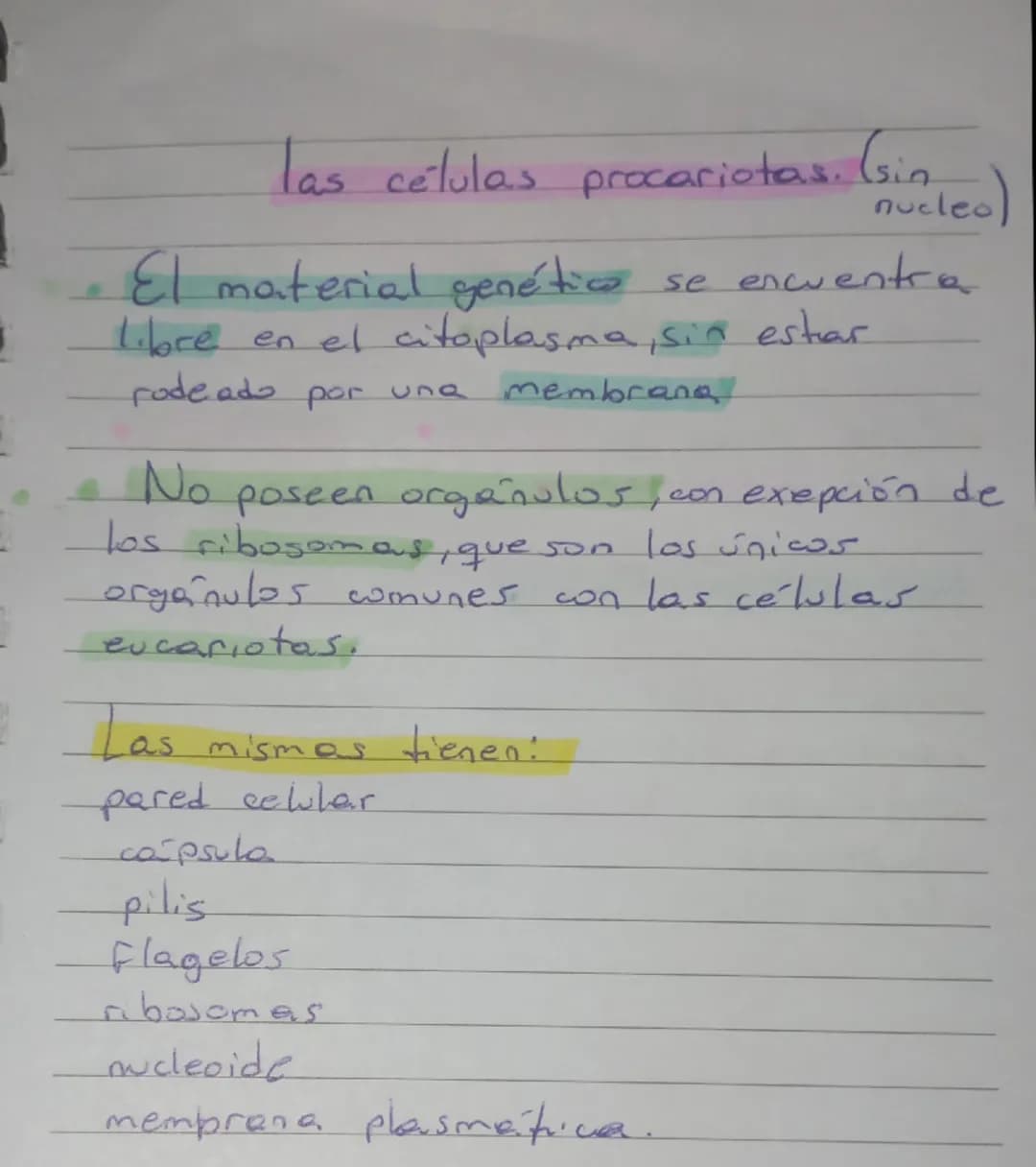 Las células procariotas,eucariotas,vegetal y animal