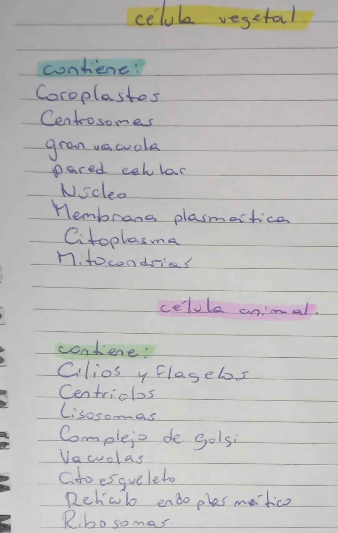 las células procariotas. (sin
nucleo)
El material genético se encuentra
libre en el citoplasma, sin estar
rodeadopor una membrana
No poseen 