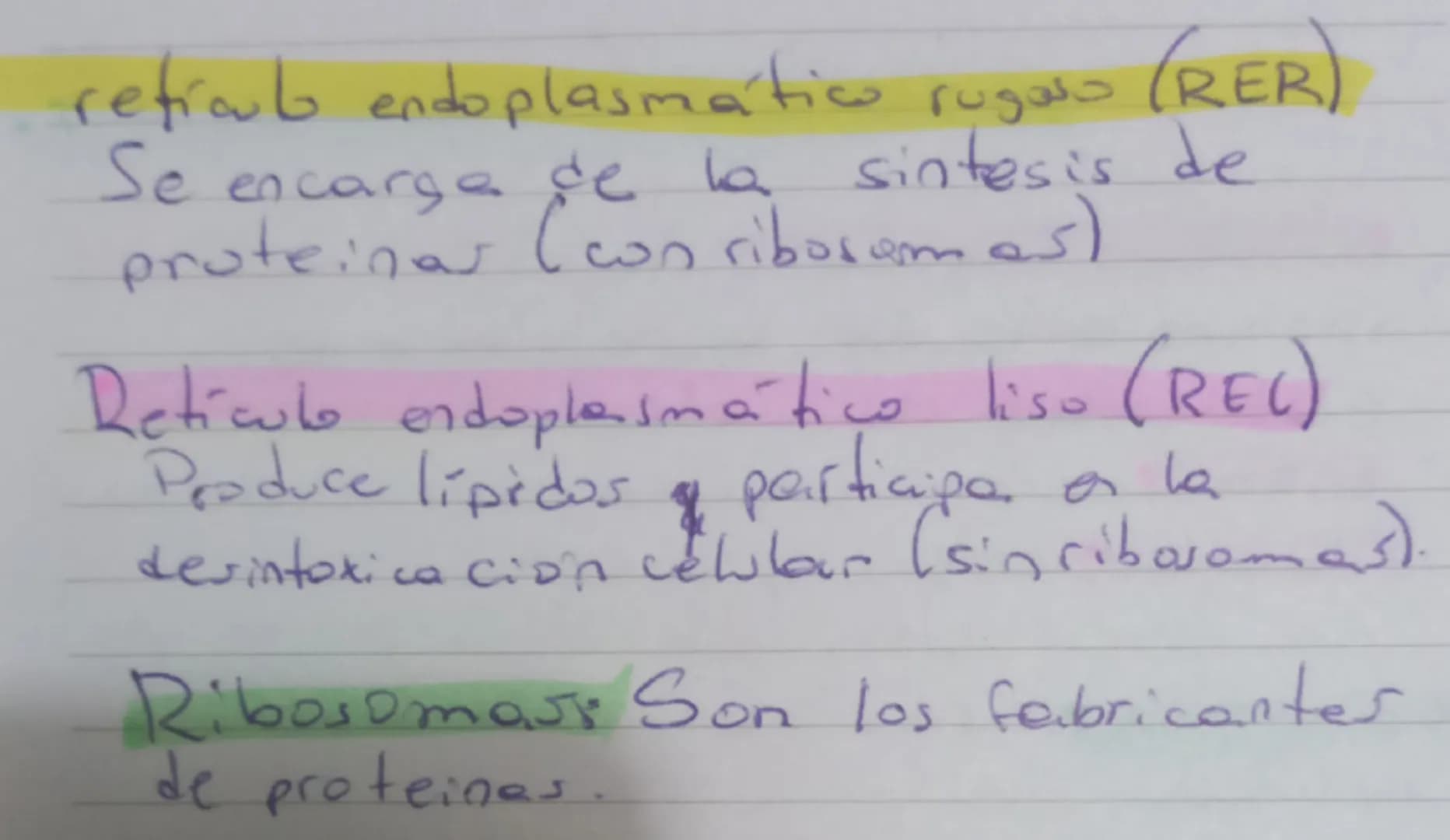las células procariotas. (sin
nucleo)
El material genético se encuentra
libre en el citoplasma, sin estar
rodeadopor una membrana
No poseen 