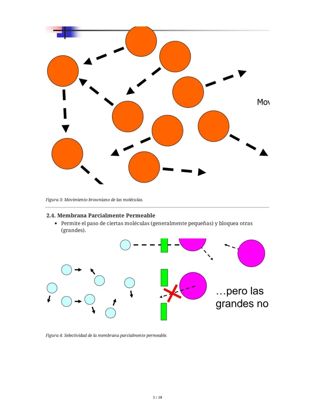 --- OCR Start ---
Mecanismos de Transporte
1. Introducción a los Mecanismos de Transporte
El transporte de sustancias a través de la membran