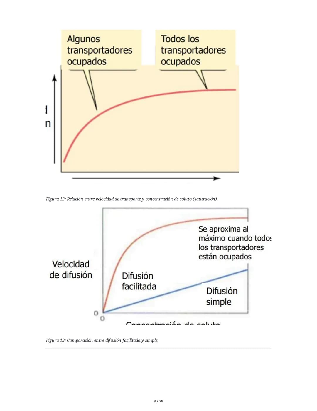 --- OCR Start ---
Mecanismos de Transporte
1. Introducción a los Mecanismos de Transporte
El transporte de sustancias a través de la membran