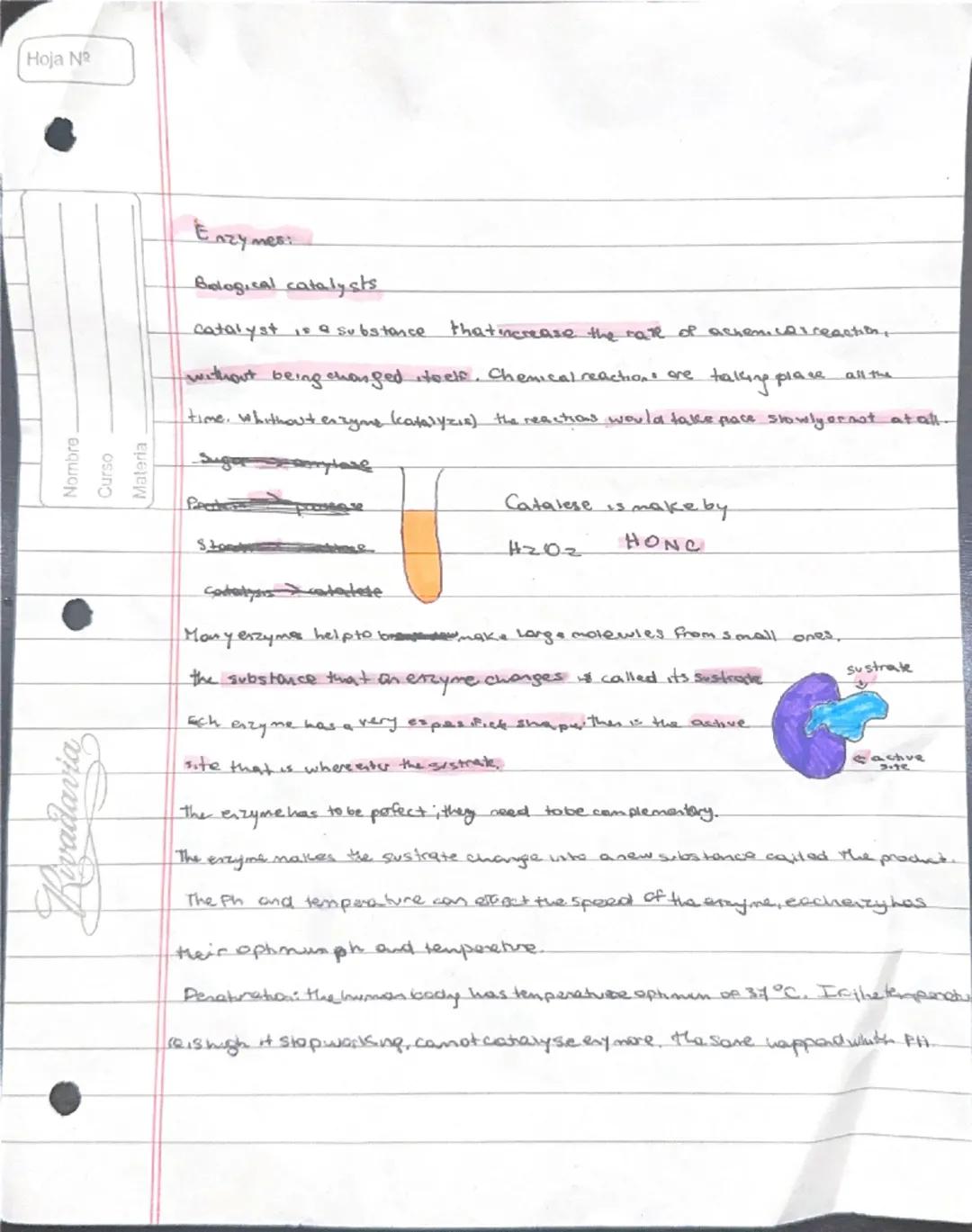 --- OCR Start ---
Hoja N
Nombre
Curso
Materia
Enzymes:
Belogical catalysts
Catalyst is a substance that increase the rate of achemical react