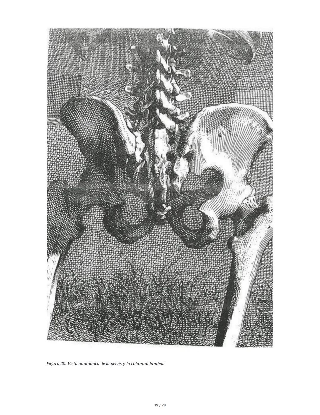 # Principios Fundamentales de la Técnica Clásica – Parte II

1. Movimientos Fundamentales del Ballet

## Jeté

El *battement tendu jeté* es 