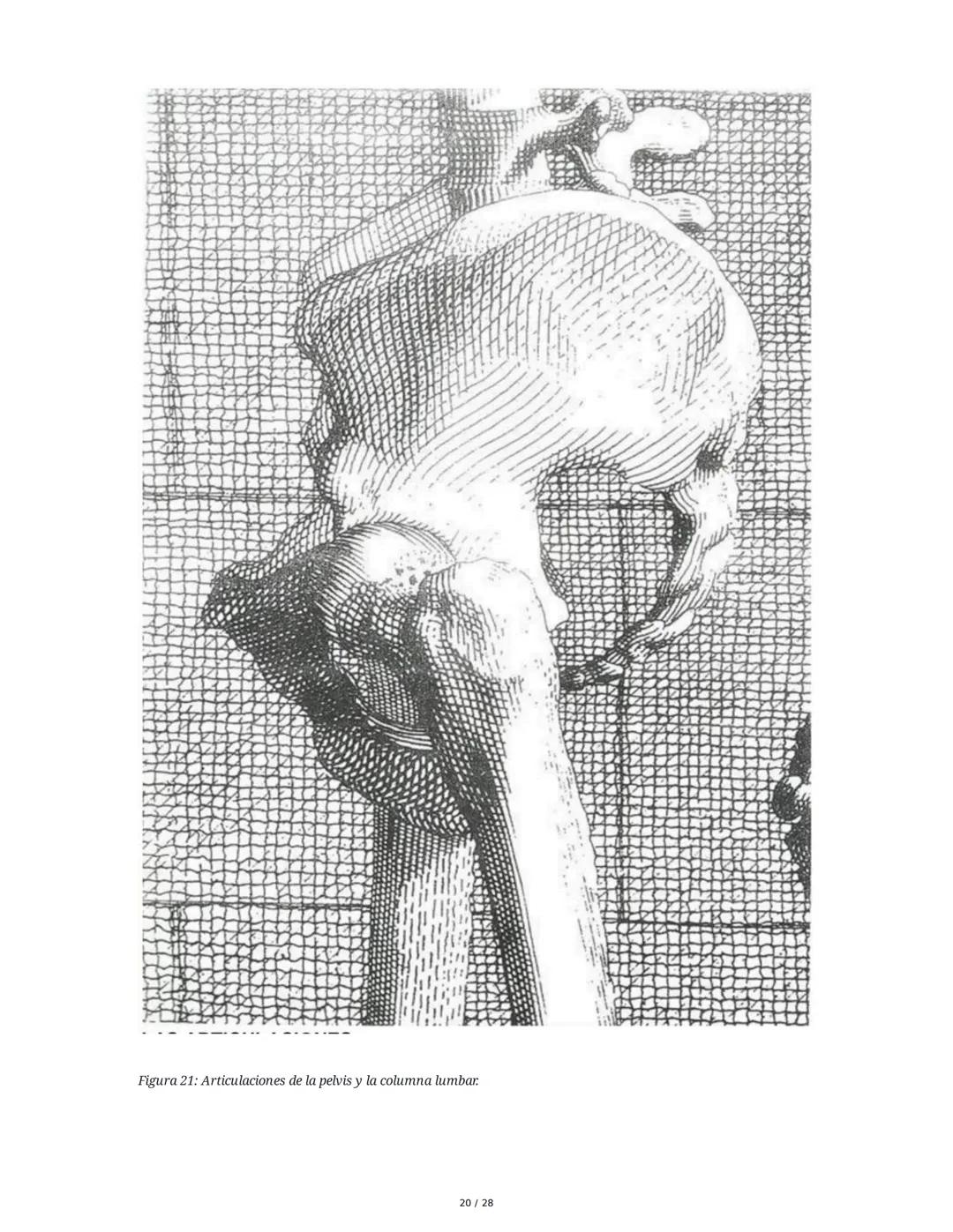 # Principios Fundamentales de la Técnica Clásica – Parte II

1. Movimientos Fundamentales del Ballet

## Jeté

El *battement tendu jeté* es 