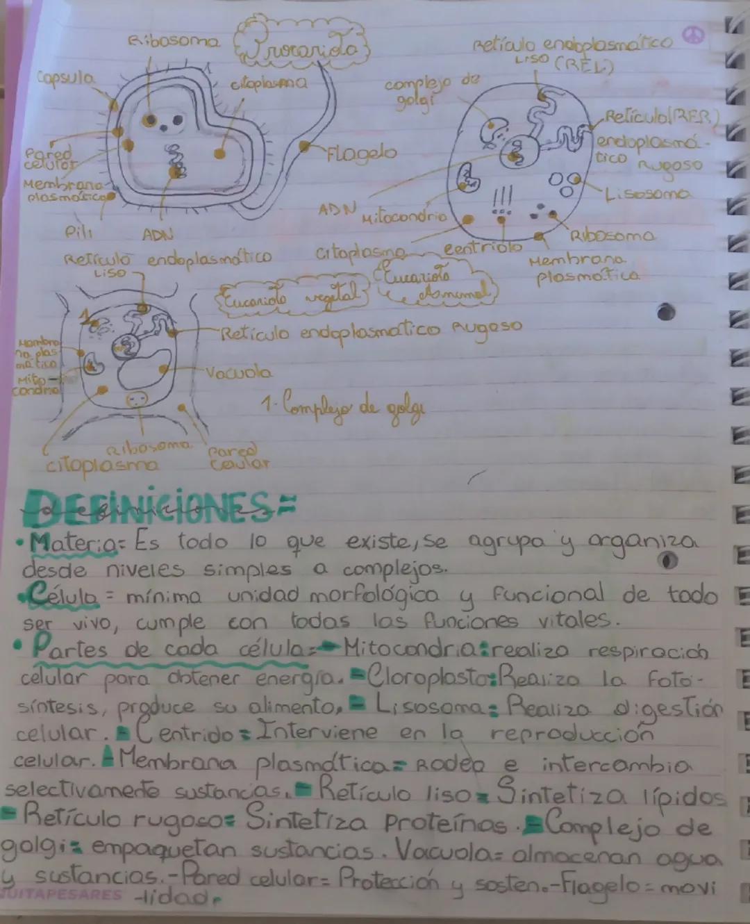 # naturales

Niveles de organizacióna 1st partículas subatómicas, 2 otom

30 organelas, 4 células, sto: tejidos, 6 organos

sistema de órgan