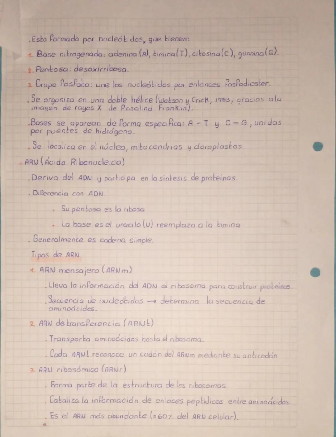 # DOGMA CENTRAL DE LA
# BIOLOGIA MOLECULAR

1 El dogma central de la biología molecular, que describe como
la información, genética contenid