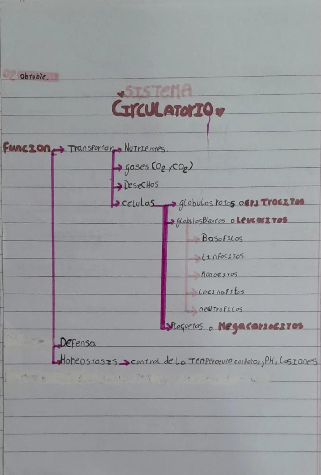 Sistema circulatorio 