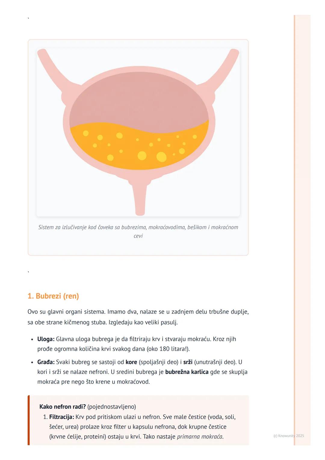# Sistem za izlučivanje

## Uvod u sistem za izlučivanje

Sistem za izlučivanje je jako važan jer čisti našu krv od štetnih materija. Te mat