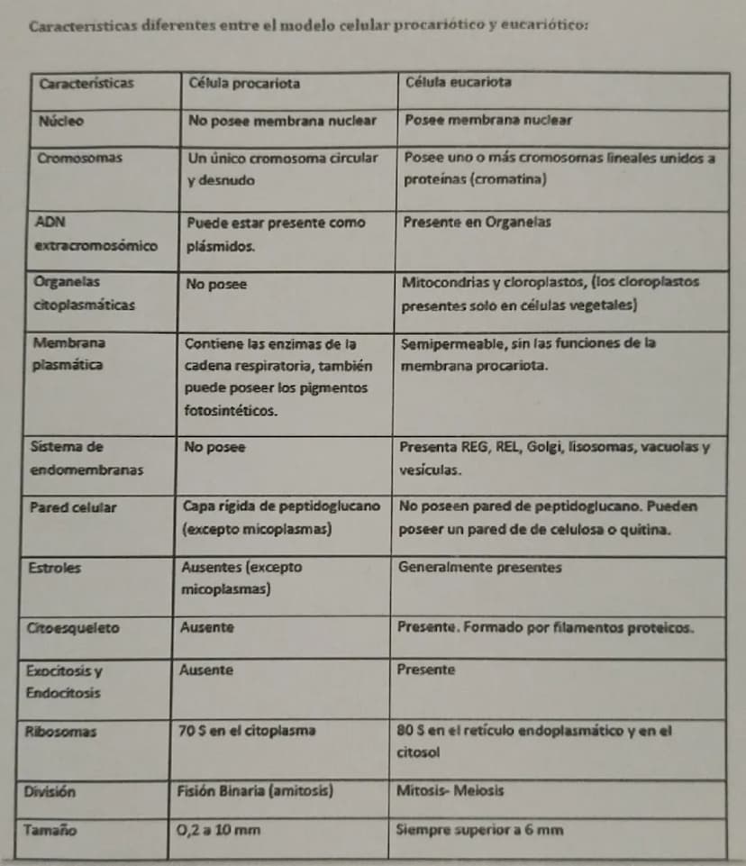 Caracteristicas diferentes entre el modelo celular procariótico y eucariótico:
Características
Célula procariota
Célula eucariota
Núcleo
No 