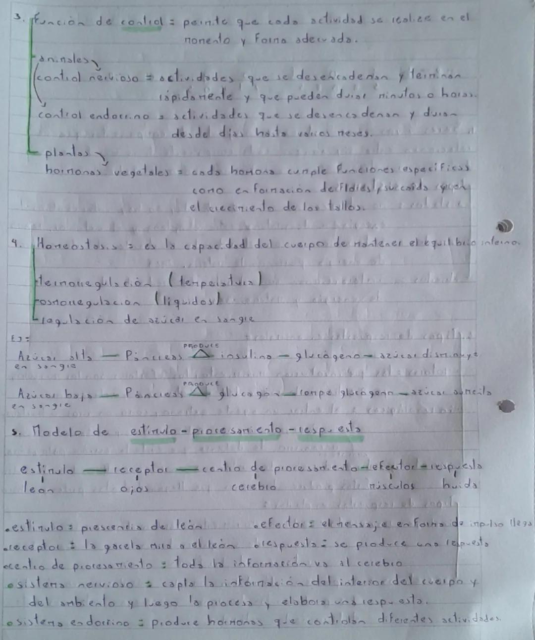 --- OCR Start ---
SERES
V
VOS
1. Seres vivos corno sistemas = conjunto de componentes que se
relacionan entie sil aunque codo componente tie