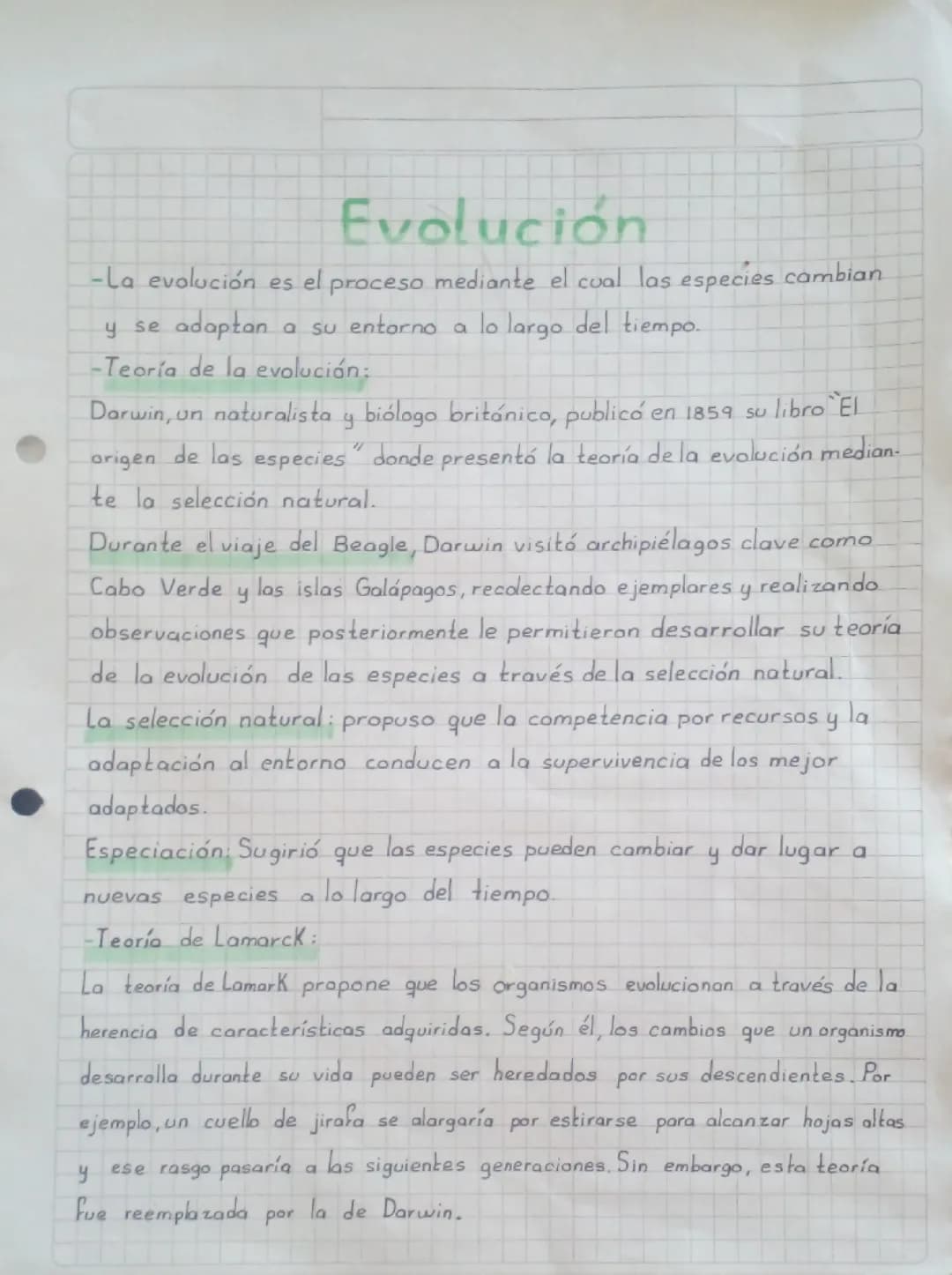 Evolución 