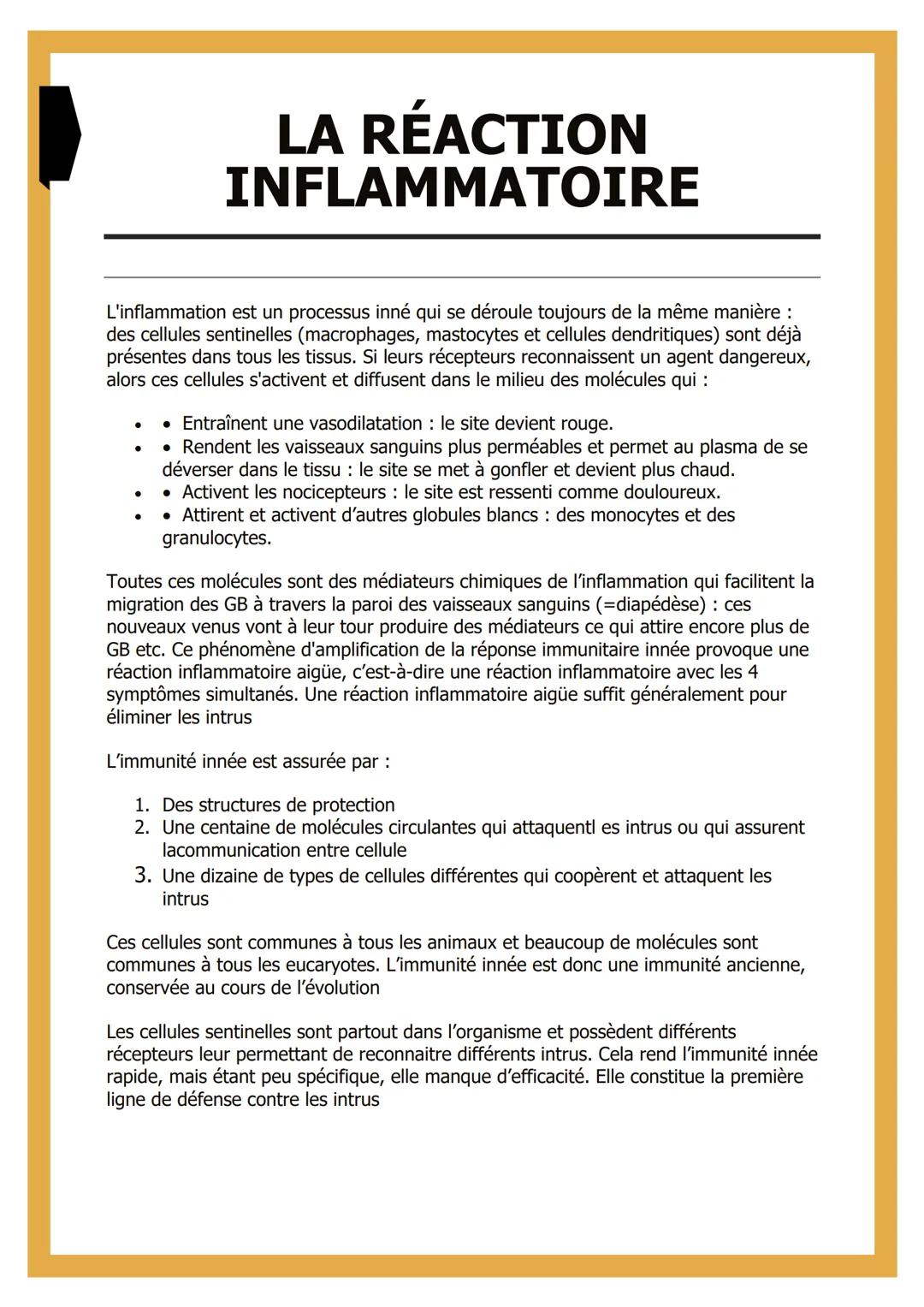 # LA RÉACTION
# INFLAMMATOIRE

L'inflammation est un processus inné qui se déroule toujours de la même manière :
des cellules sentinelles (m