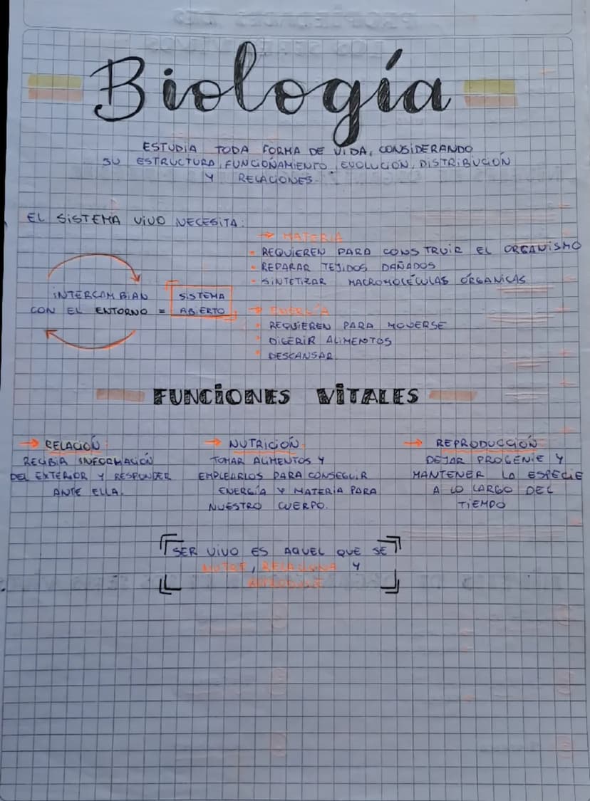 Biología
ESTUDIA
30
TODA FORMA DE VIDA, CONSIDERANDO
ESTRUCTURA, FUNCIONAMIENTO, EVOLUCION, DISTRIBUCION
Y RELACIONES
EL SISTEMA vivo NECESI