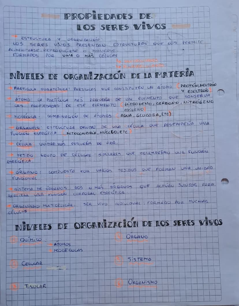 Biología
ESTUDIA
30
TODA FORMA DE VIDA, CONSIDERANDO
ESTRUCTURA, FUNCIONAMIENTO, EVOLUCION, DISTRIBUCION
Y RELACIONES
EL SISTEMA vivo NECESI