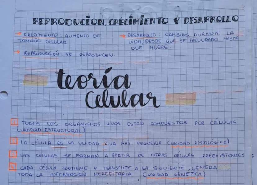 Biología
ESTUDIA
30
TODA FORMA DE VIDA, CONSIDERANDO
ESTRUCTURA, FUNCIONAMIENTO, EVOLUCION, DISTRIBUCION
Y RELACIONES
EL SISTEMA vivo NECESI