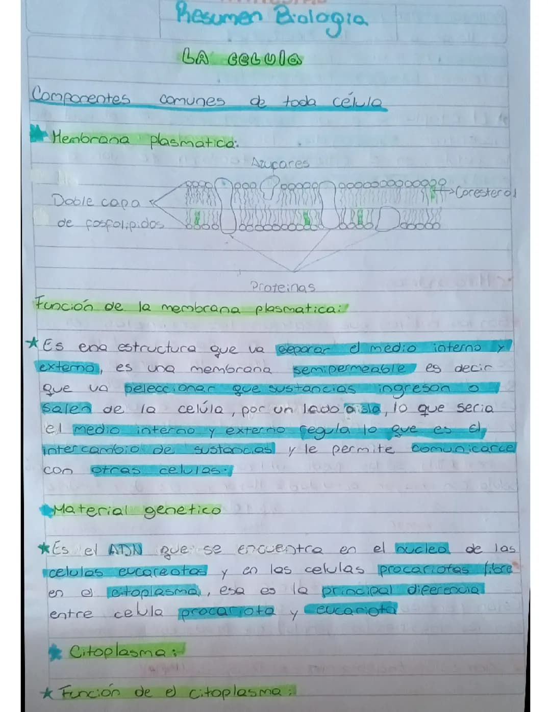 Resumen Biología 