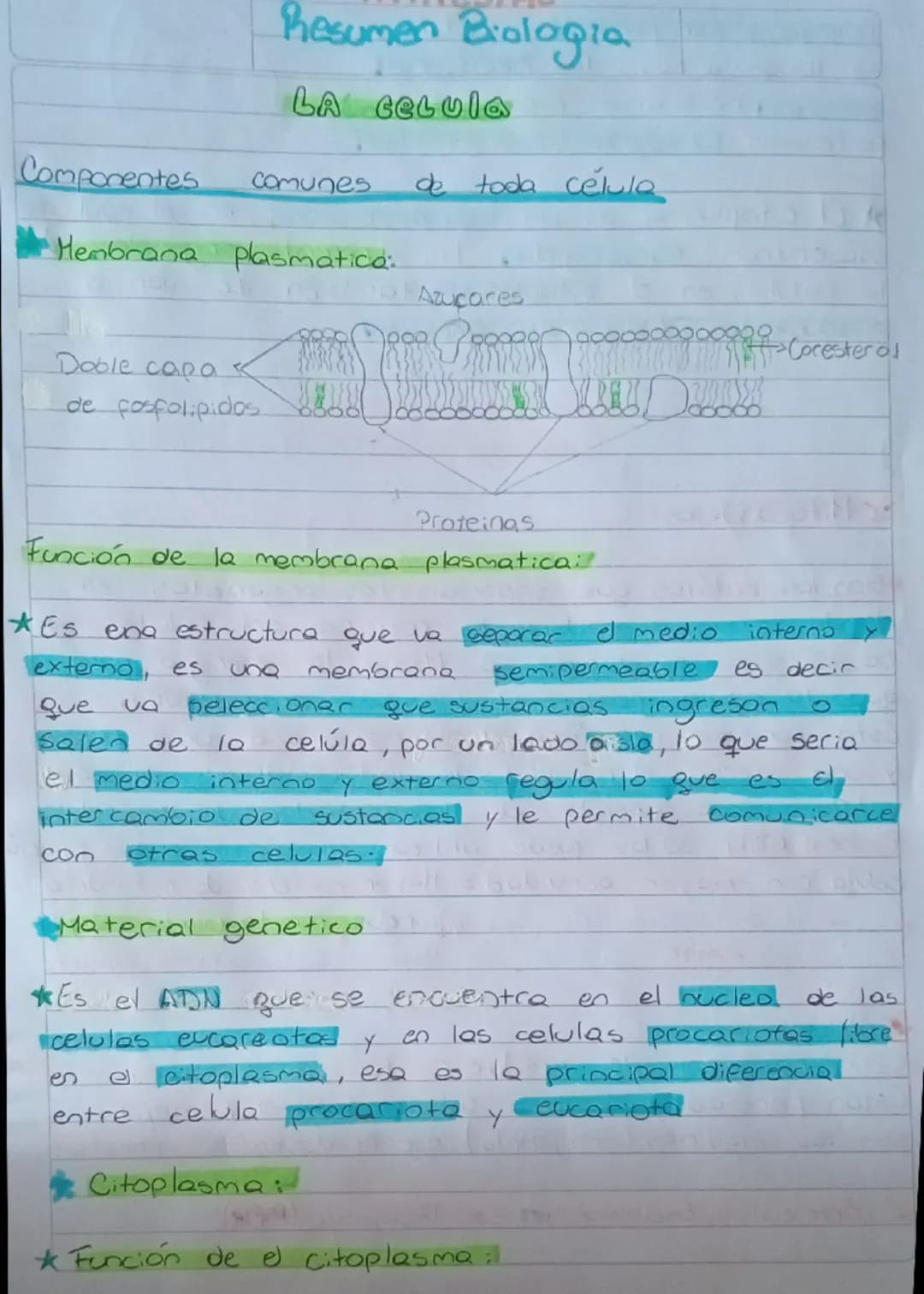 Resumen Biologia
LA Celula
Componentes Comunes
de toda célula
Hembrana plasmatica:
Azucares
Doble capa
de fosfolipidos
Proteinas
gooooooo Co