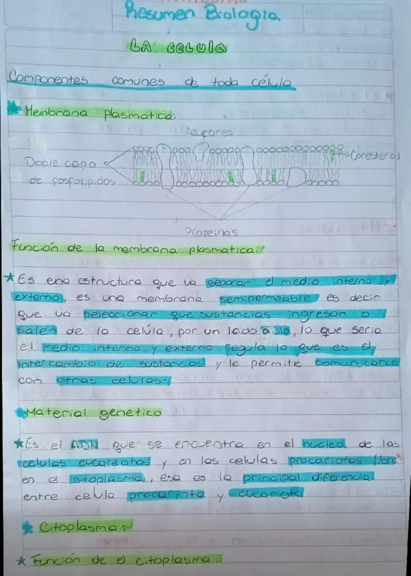 Resumen Biologia
LA Celula
Componentes Comunes
de toda célula
Hembrana plasmatica:
Azucares
Doble capa
de fosfolipidos
Proteinas
gooooooo Co